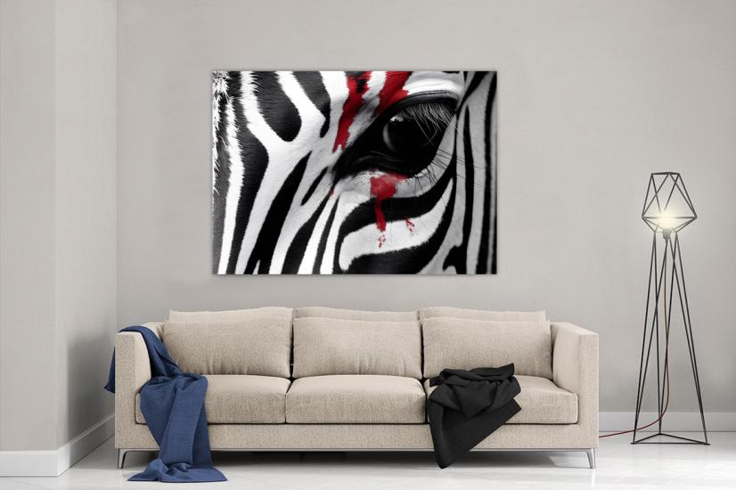 Zebra Tasarımlı Dekor Kanvas Tablo
