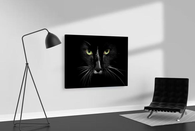 Karanlık ve Kedi Tasarımlı Dekor Kanvas Tablo