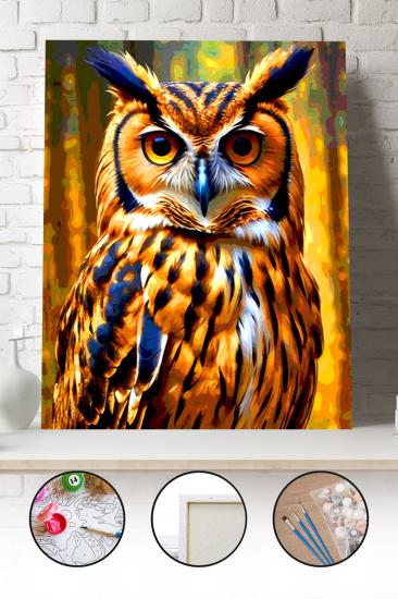 Sayılarla Boyama Seti 40x50 - 50x65 cm Tuval Hobi Boyama Tablosu - Renkli Baykuş Gözü