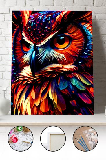 Sayılarla Boyama Seti 40x50 - 50x65 cm Tuval Hobi Boyama Tablosu - Renkli Baykuş 02