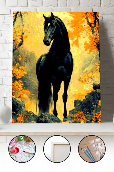 Sayılarla Boyama Seti 40x50 - 50x65 cm Tuval Hobi Boyama Tablosu - Siyah At