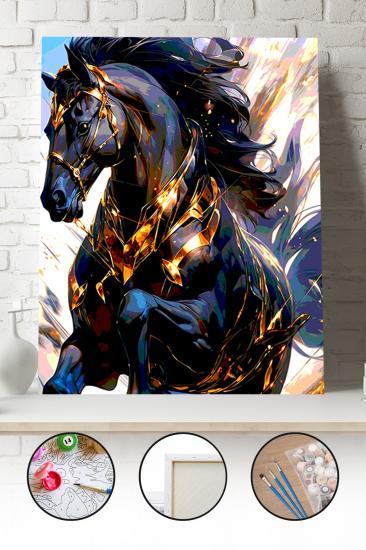 Sayılarla Boyama Seti 40x50 - 50x65 cm Tuval Hobi Boyama Tablosu - Siyah At 02